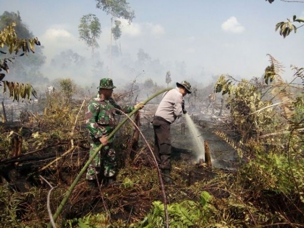 Api Hanguskan 1 Hektar Lahan Gambut