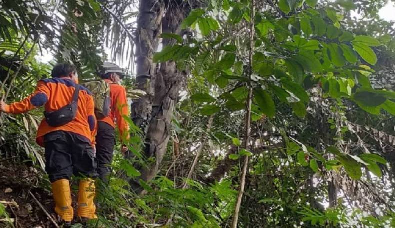 Udin Leno Hilang Misterius di Hutan Kampung Aman Desa Sungai Bakau