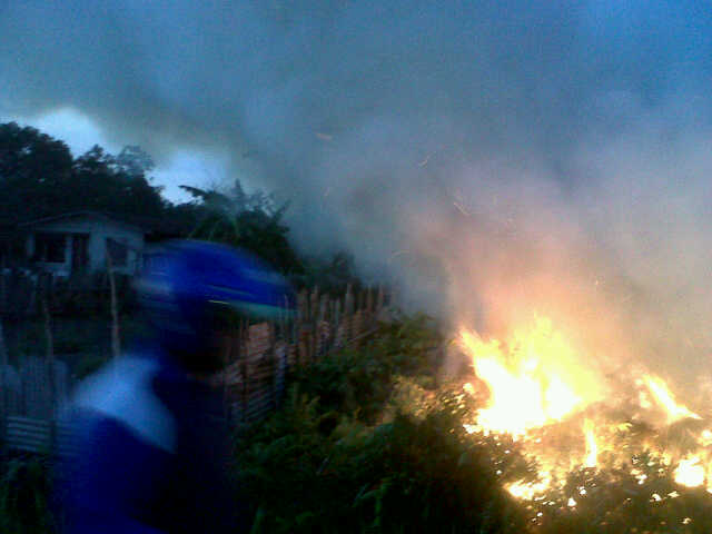 Telah terjadi kebakaran lahan di  Kelurahan Sei Pakning