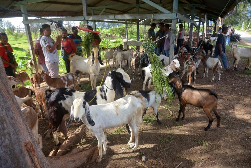 Bayar Hutang atau Qurban, Mana yang Harus Didahulukan?