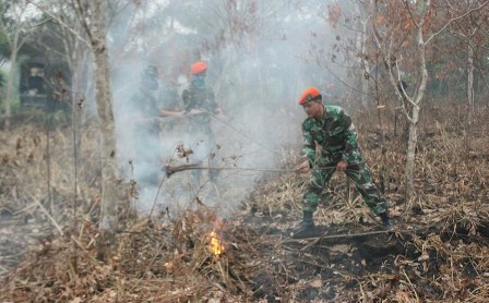 Saat Pasukan Elite TNI AU Berjibaku Padamkan Kebakaran Lahan di Kampar