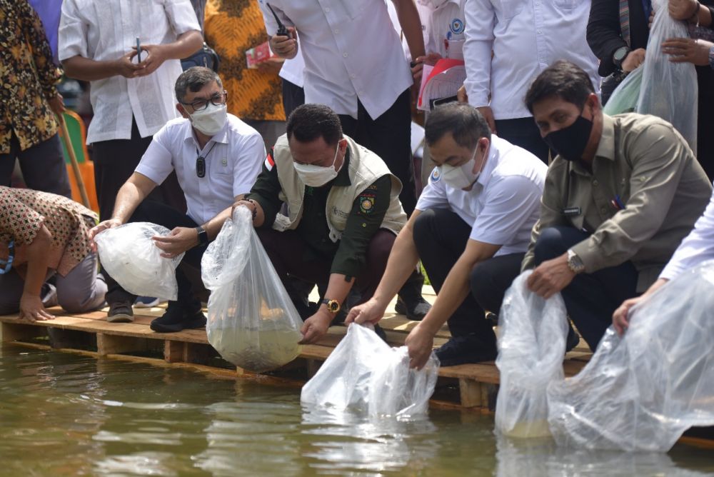 Bupati Kampar Tabur 95 Ribu Bibit Ikan