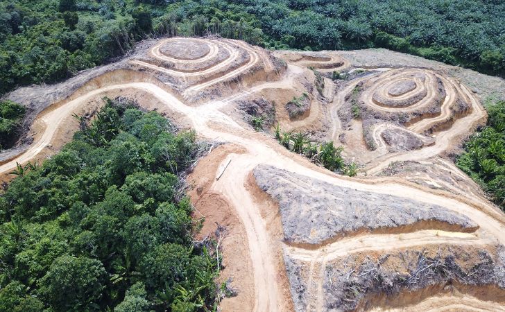 Izin 28 Perusahaan Di Sumatera Dicabut, Sawit Watch: Jangan 