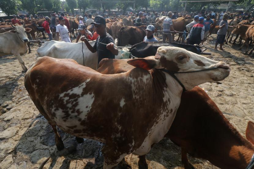Berqurban dengan Cara Berutang, Bolehkah dalam Hukum Islam?