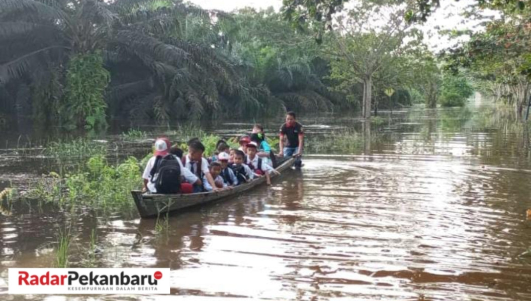 Nazaruddin Arnas Minta Bupati Pelalawan Tetapkan Bencana Daerah, H.Zukri : Kita Sudah Tetapkan!