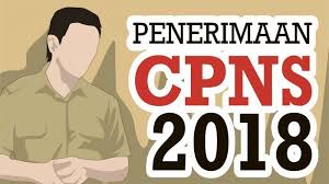 Total Pelamar CPNS di Pemprov Riau 10.839