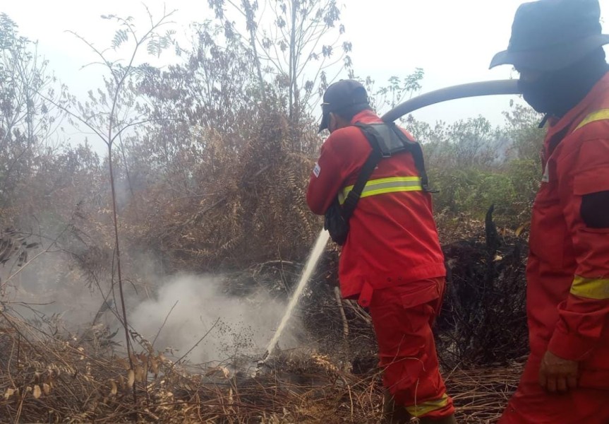 Karhutla di Riau Belum Usai, Manggala Agni Kerahkan Tim ke Lima Lokasi