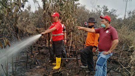 100 Hektare Lahan di Desa Rantau Baru Ludes Terbakar