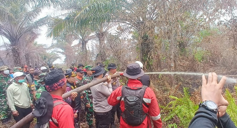 Pembakar 500 Hektare Lahan Gambut di Pelalawan Ditangkap Polisi