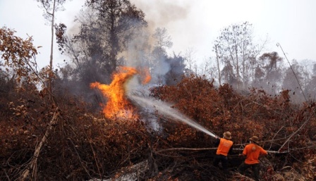 MA Hukum Denda Rp 366 Miliar PT Kallista Alam, Perusahan Pembakar Hutan Riau Seribu Hektare