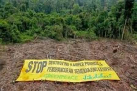 4 Poin Seruan Koalisi Penyelamat Sumber Daya Alam Riau Kepada Pemerintah