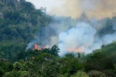 602 Hotspot Kerumuni Sumatra, di Riau Titik Api Masih Marak