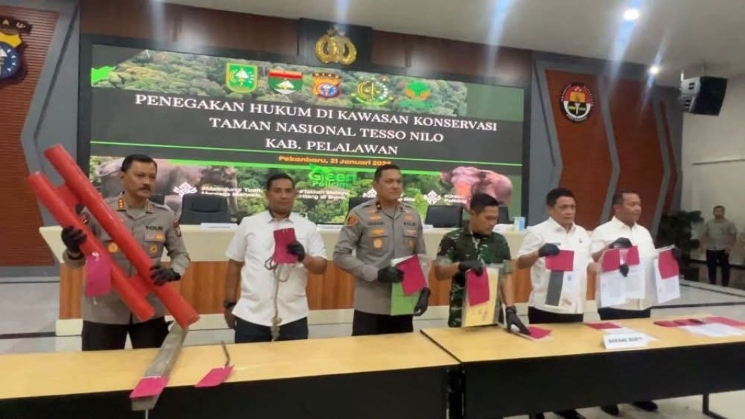 Warisan Dosa Tata Kelola Hutan Era Jokowi–Siti Nurbaya Ketika Pusat Lepas Tangan, Daerah Menanggung Konflik