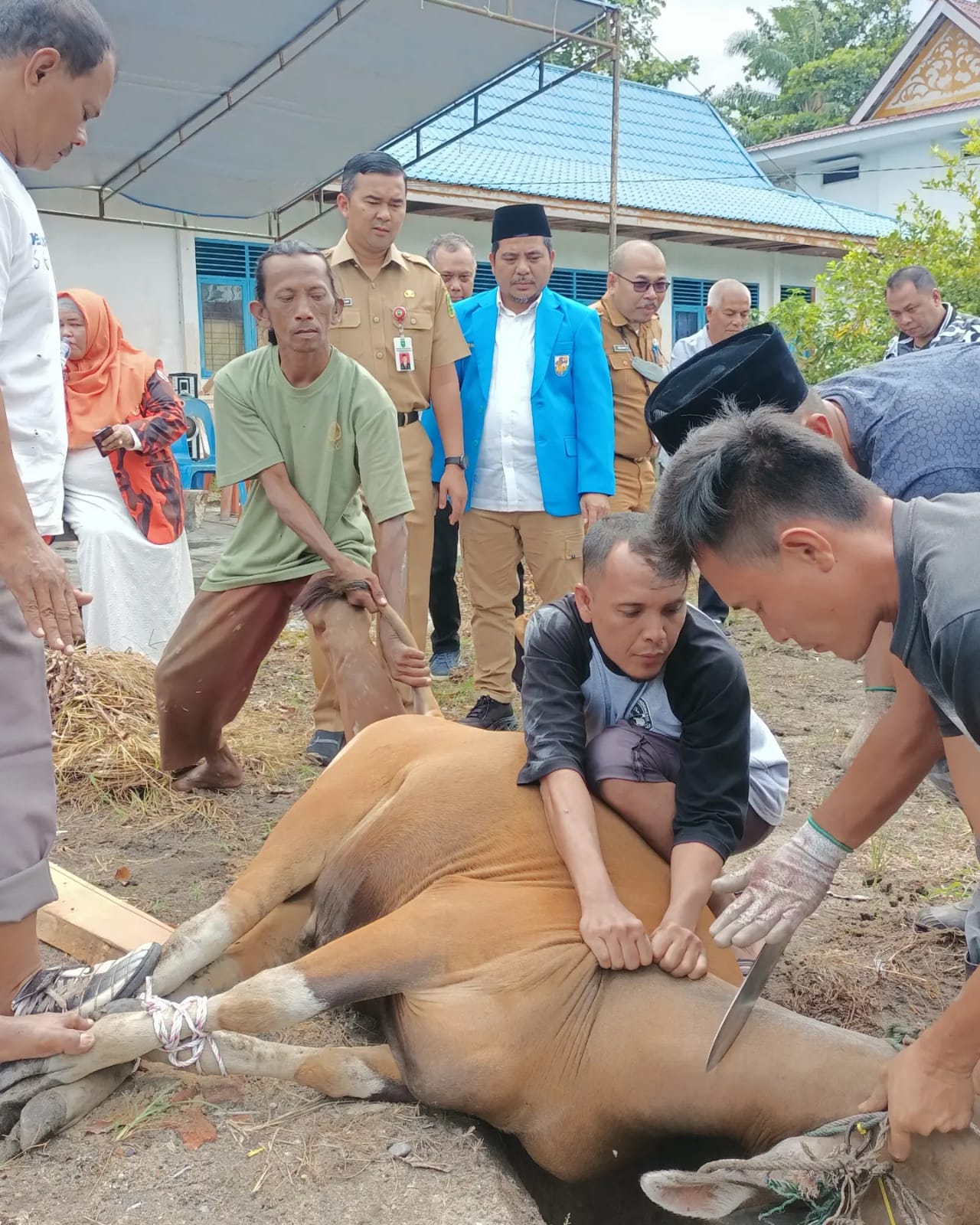 Ketua KNPI Riau Nasarudin dan Pengurus Sembelih 1 Sapi 3 Kambing