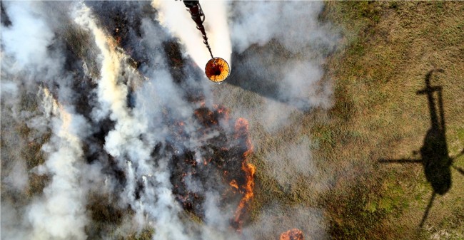 Cagar Biosfer di Riau Terbakar, BPBD Kirim Helikopter Water Boombing