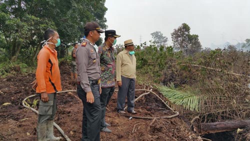 Wako Firdaus Pimpin Langsung Pemadaman Kebakaran Puluhan Hektar Lahan