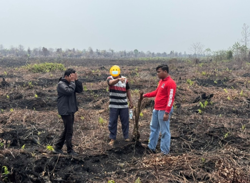 Lahan Terbakar di Bengkalis Masuk Kawasan HPT, Penggarap Jadi Tersangka