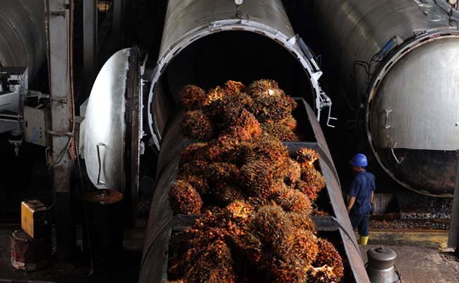 Harga TBS Sawit Riau Mulai Maerangkak Naik