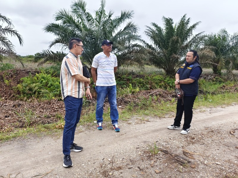 Diduga Lakukan Penipuan Dengan Modus Penawaran Kerjasama, Kini Hot Maratonan Immanuel Jadi Tersangka Polda Riau