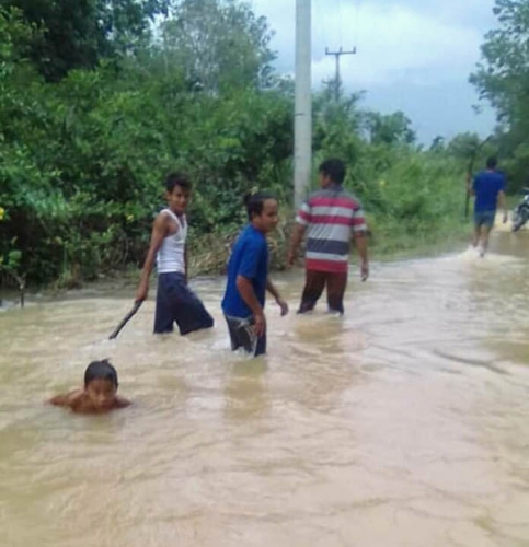 Ratusan Hektar Areal Pertanian di Inhu Terendam Banjir