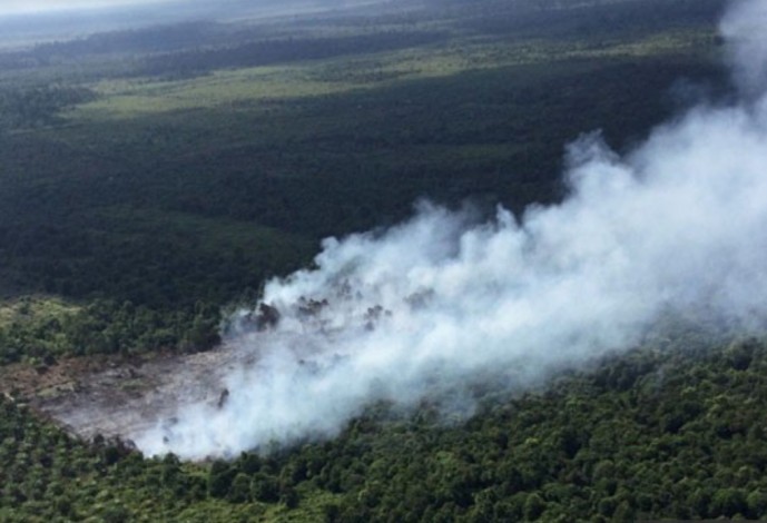 Sudah 1.136,41 Ha Lahan Terbakar di Riau