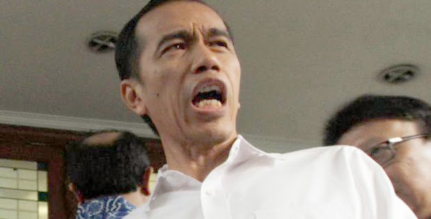 7 Daerah Pemekaran di Riau Terancam Batal,Jokowi Rencanakan Tunda Pemekaran Daerah Baru