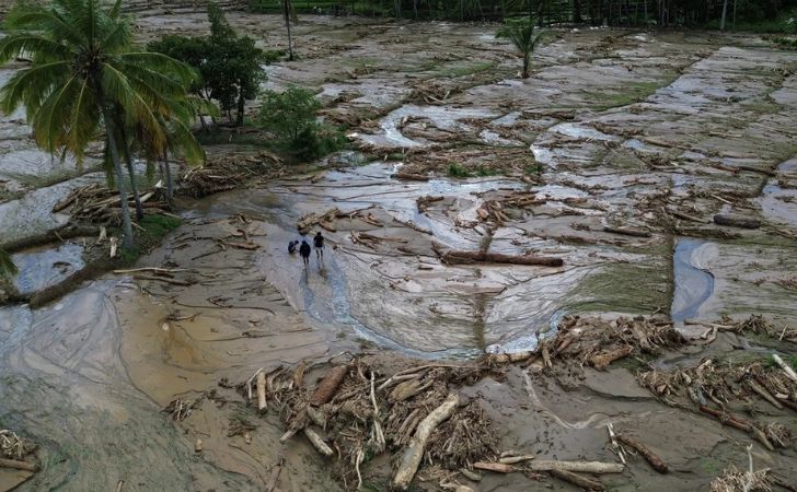 Transaksi Bisnis Pemicu Kerusakan Alam Sumatera Capai Rp 11 Triliun