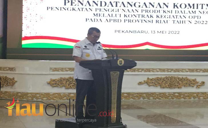 Covid-19 Melandai, Syamsuar Sebut Kabupaten/Kota Se-Riau Level I