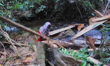 Apa Kabar Pak Kapolda Bintang Dua, Kenapa Pembalakan Kawasan Hutan Lindung Bukit Betabuh Kian Marak