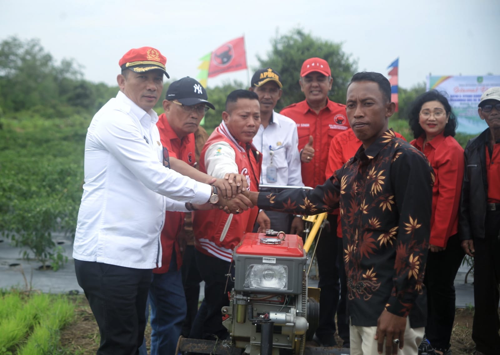 Bupati Adil dan Efendi Sianipar Panen Raya Cabai di Tanjungsari