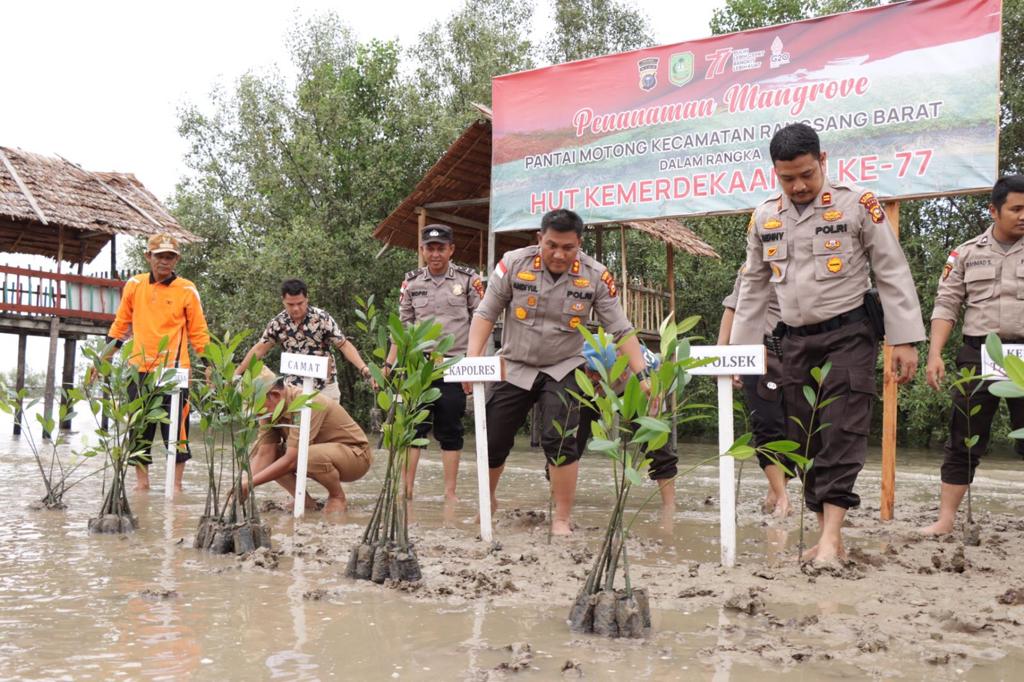 Polres Meranti Bersama Pemcam Rangsang Barat dan Gapoktan Tanam Mangrove di Pantai Tanjung Motong