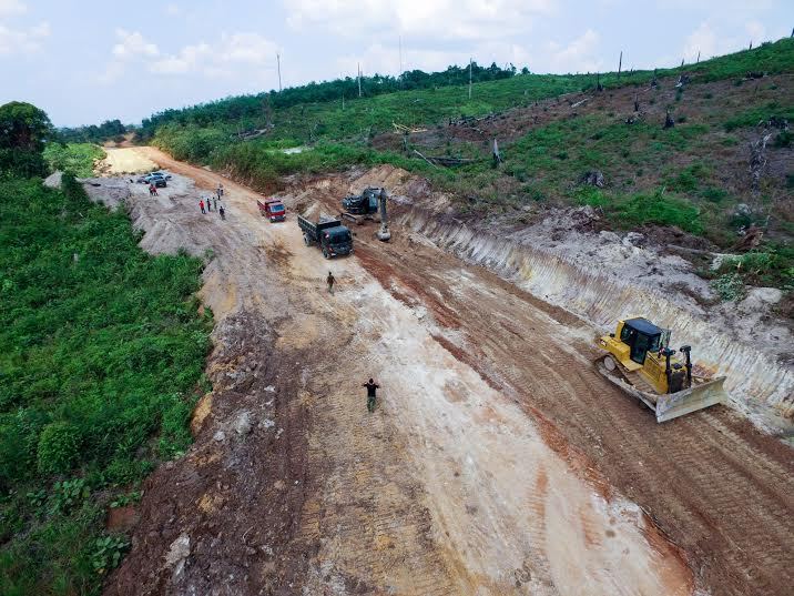 Urus Izin Buka Hutan untuk Infrastruktur Kini Hanya 2 Minggu