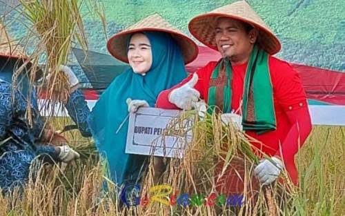 H. Zukri Dorong Ketahanan Pangan Lewat Cetak Sawah dan Hilirisasi Kelapa Rakyat