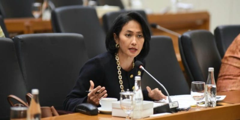 DPR Yakin TNI-Polri Mampu Selamatkan Pilot Susi Air yang Disandera KKB
