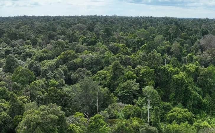 Pengusaha Sawit Kembalikan 500 Ha Lahan TNTN Ke Negara, Warga Protes