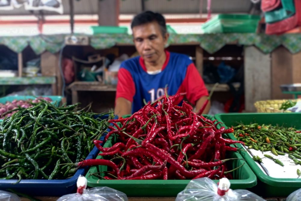 Harga Cabai di Pekanbaru Turun, Emak-emak Tersenyum