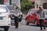 Dishub Pekanbaru Gelar Patroli Penertiban 'Pak Ogah'