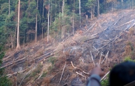 Dua Tersangka Perambah Hutan Di Pelalawan Ditahan Pihak KLHK