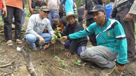 Restorasi Hutan Rimbang Baling Dimulai, Warga Dengan Sukarela Cabut Pohon Sawit