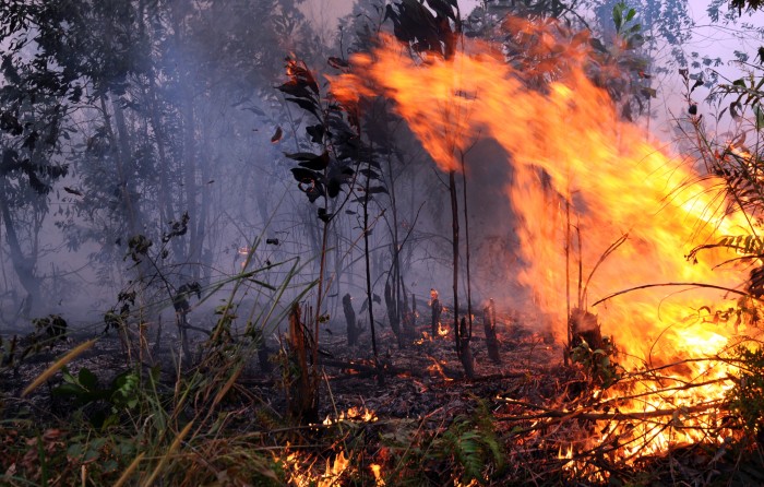 901 Hektare Lahan di Riau Terbakar 2021