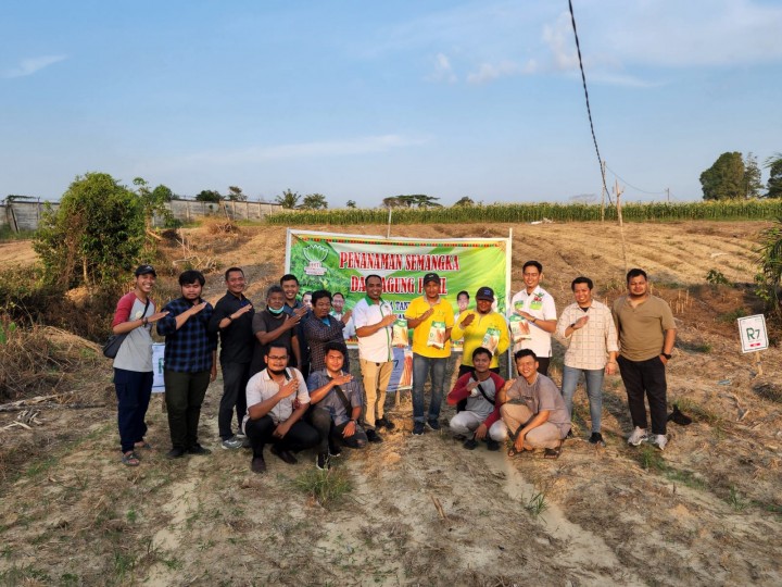DPD Pemuda Tani HKTI Riau Bersama Kelompok Tani Milenial Riau Tanam Jagung dan Semangka