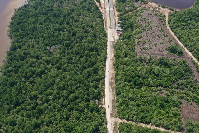 PHR Hadirkan Ecoeduwisata Bandar Bakau dan Jaga Konservasi Mangrove di Pesisir Riau