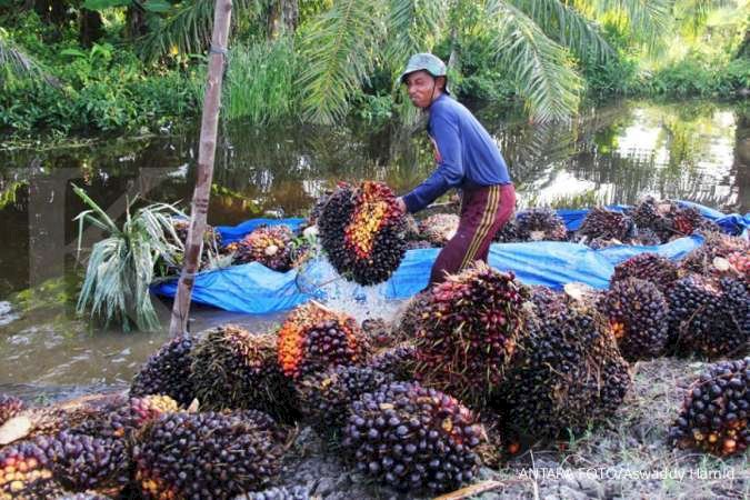 Aktivis ini Apresiasi Pola Kemitraan antara PT Agro Abadi dengan 3 Desa