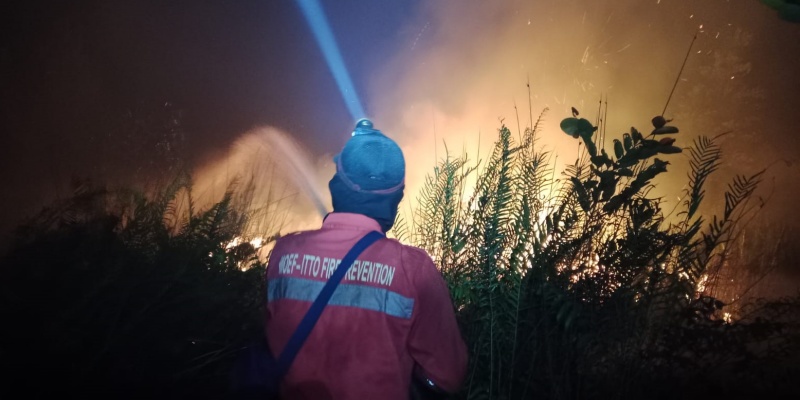 Pemerintah Diminta Pertimbangkan Bantuan Luar Negeri Atasi Karhutla