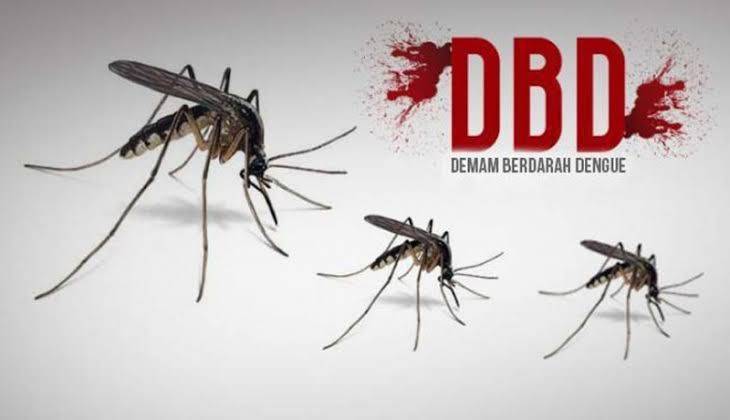 14 Orang di Riau Meninggal Dunia akibat Terjangkit DBD di Tahun 2023
