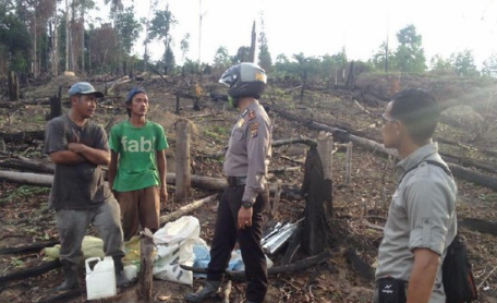 Polres Pelalawan Tangkap Warga Pembakar Lahan Taman Nasional di Riau