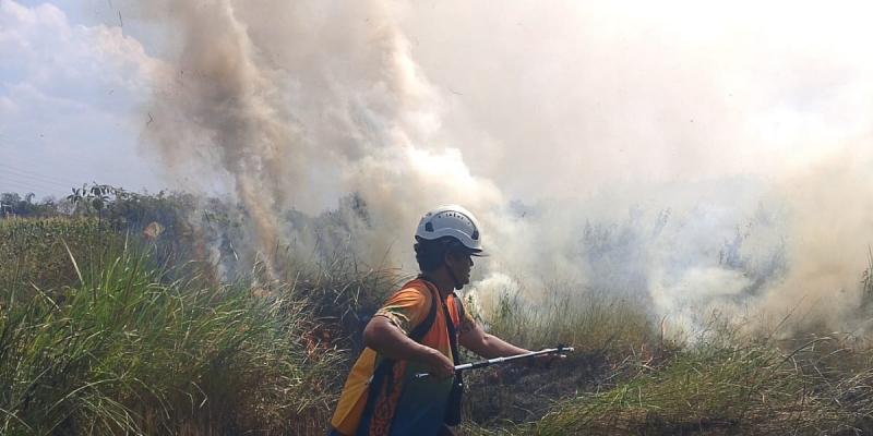 Musim Hujan Diprediksi Singkat, Pemerintah Harus Putar Otak Cegah Karhutla
