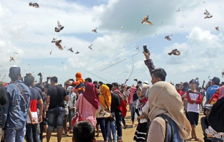 Ratusan Burung Jalak dan Kacer Sitaan Beacukai Dilepaskan Di TWA Sungai Dumai
