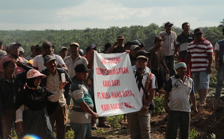 Polda Riau Selidiki Sengekta Lahan Sawit Antar Perusahaan Di Langgam