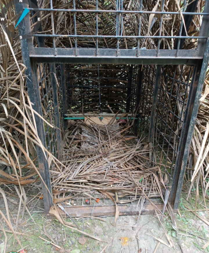 Harimau Masih Berkeliaran, BBKSDA Riau Pasang Kamera Trap dan Kandang Jebakan